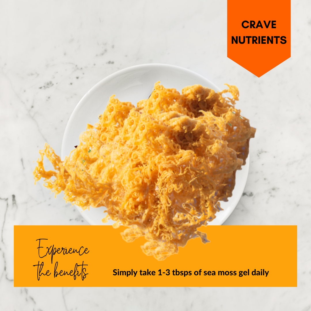 Frozen sea moss cubes and raw sea moss stored in a freezer, answering can you freeze sea moss for freshness