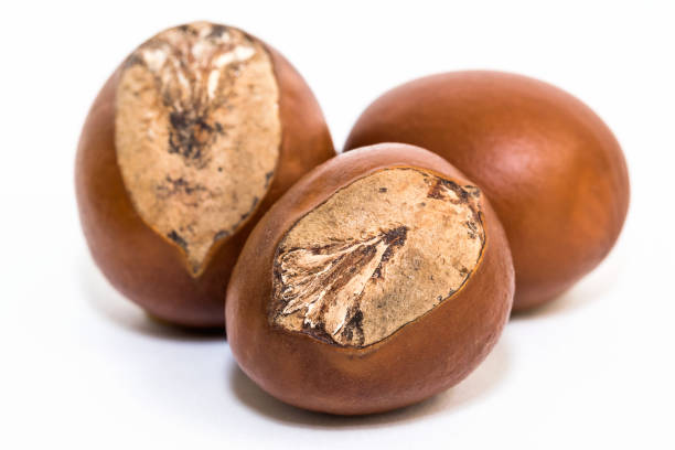 DIY Beauty Recipes with Unrefined Raw Shea Butter Go Natural 247