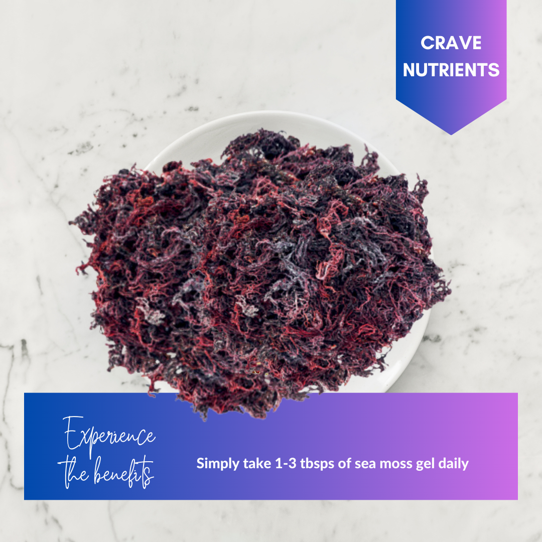 Wild-harvested St. Lucian Purple Sea Moss lifestyle – Go Natural 247