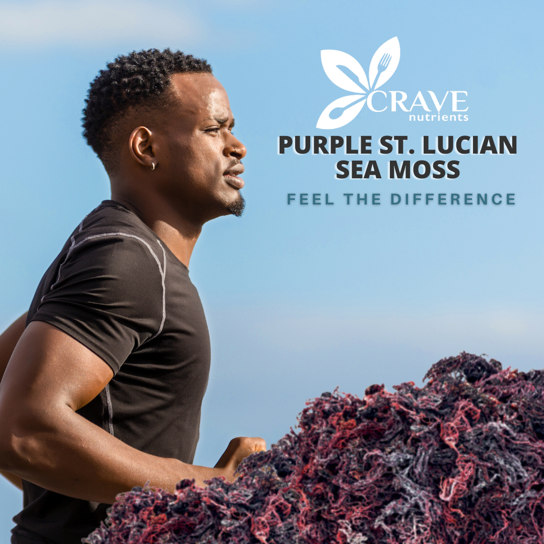 Wild-harvested St. Lucian Purple Sea Moss close-up – Go Natural 247