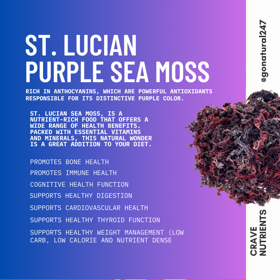 Wild-harvested St. Lucian Purple Sea Moss detail view – Go Natural 247