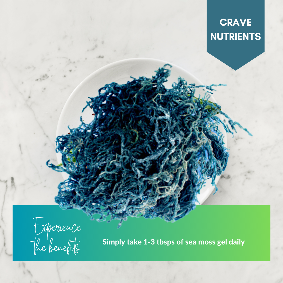 Wild-harvested St. Lucian Green Sea Moss detail view – Go Natural 247