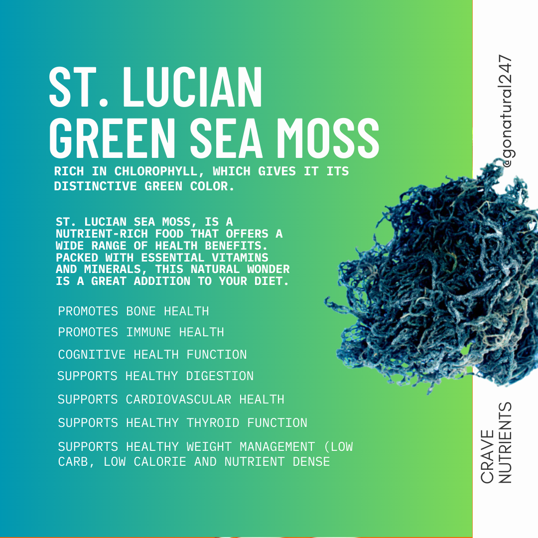 Wild-harvested St. Lucian Green Sea Moss lifestyle – Go Natural 247