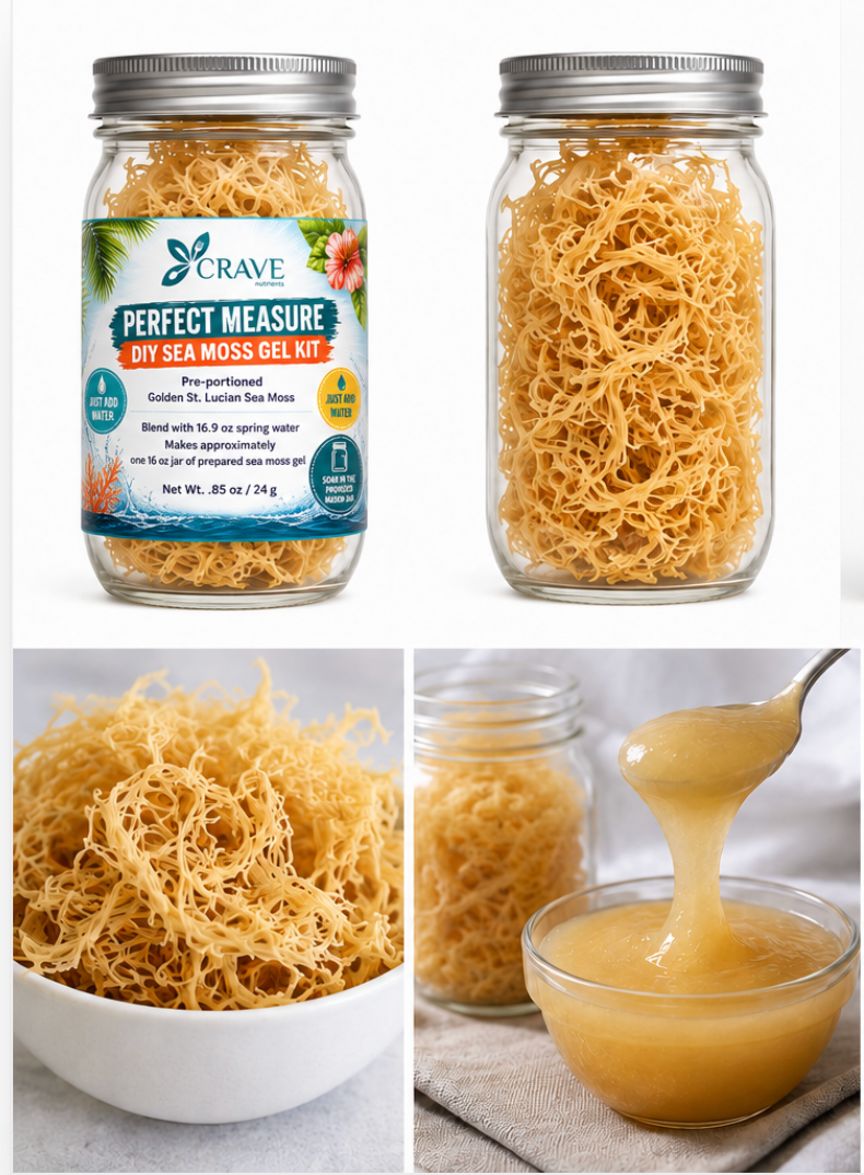 Perfect Measure DIY Golden St. Lucian Sea Moss Gel Kit Crave Nutrients