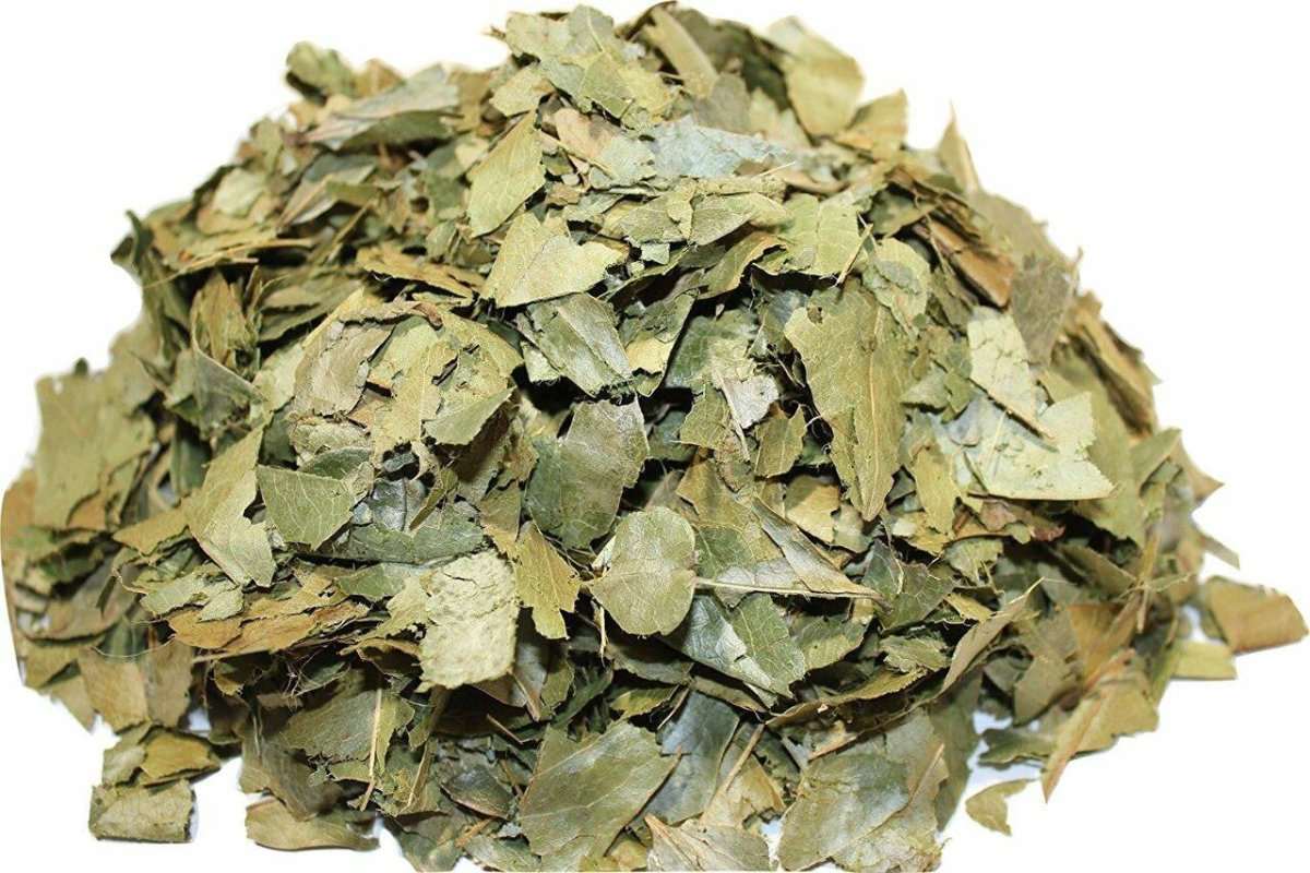 Crave Nutrients Organic Soursop Leaves - Go Natural 247