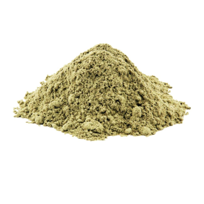 Wild-harvested Bladderwrack Powder lifestyle – Go Natural 247